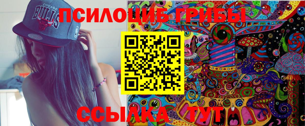 где купить   Псилоцибиновые грибы Cubensis  Вход с VPN  Благодарный 