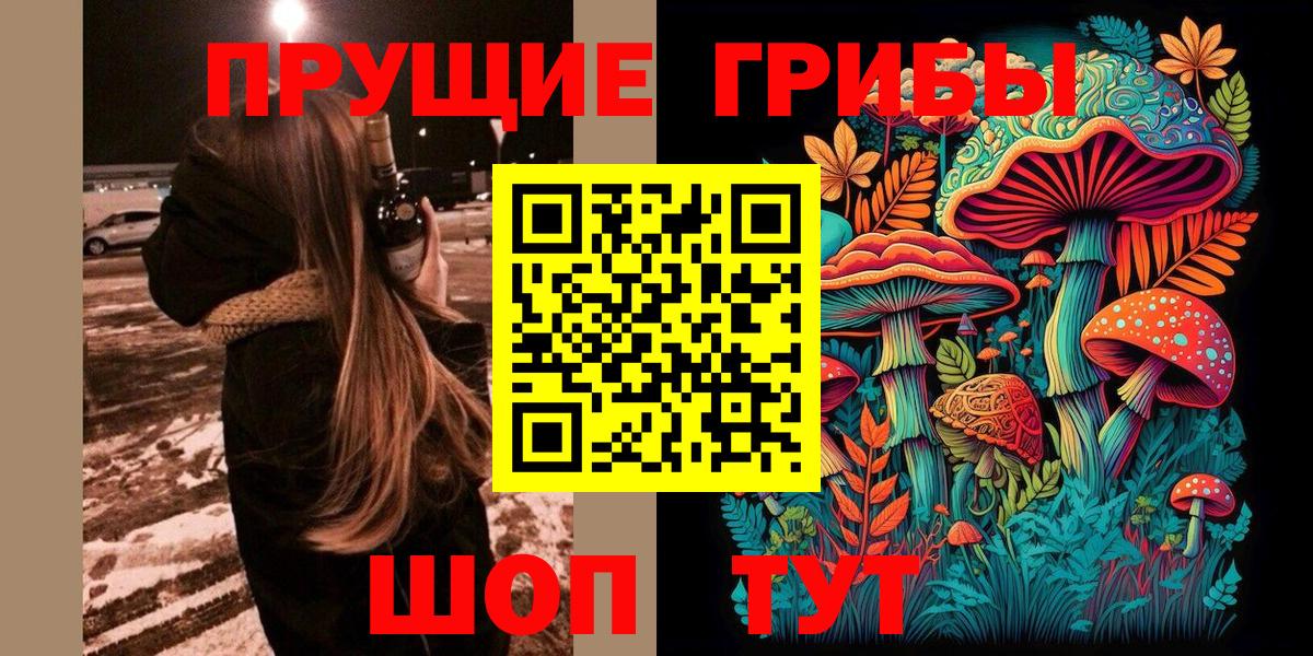 Псилоцибиновые грибы Cubensis Благодарный